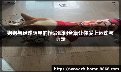 8868体育网页版在线